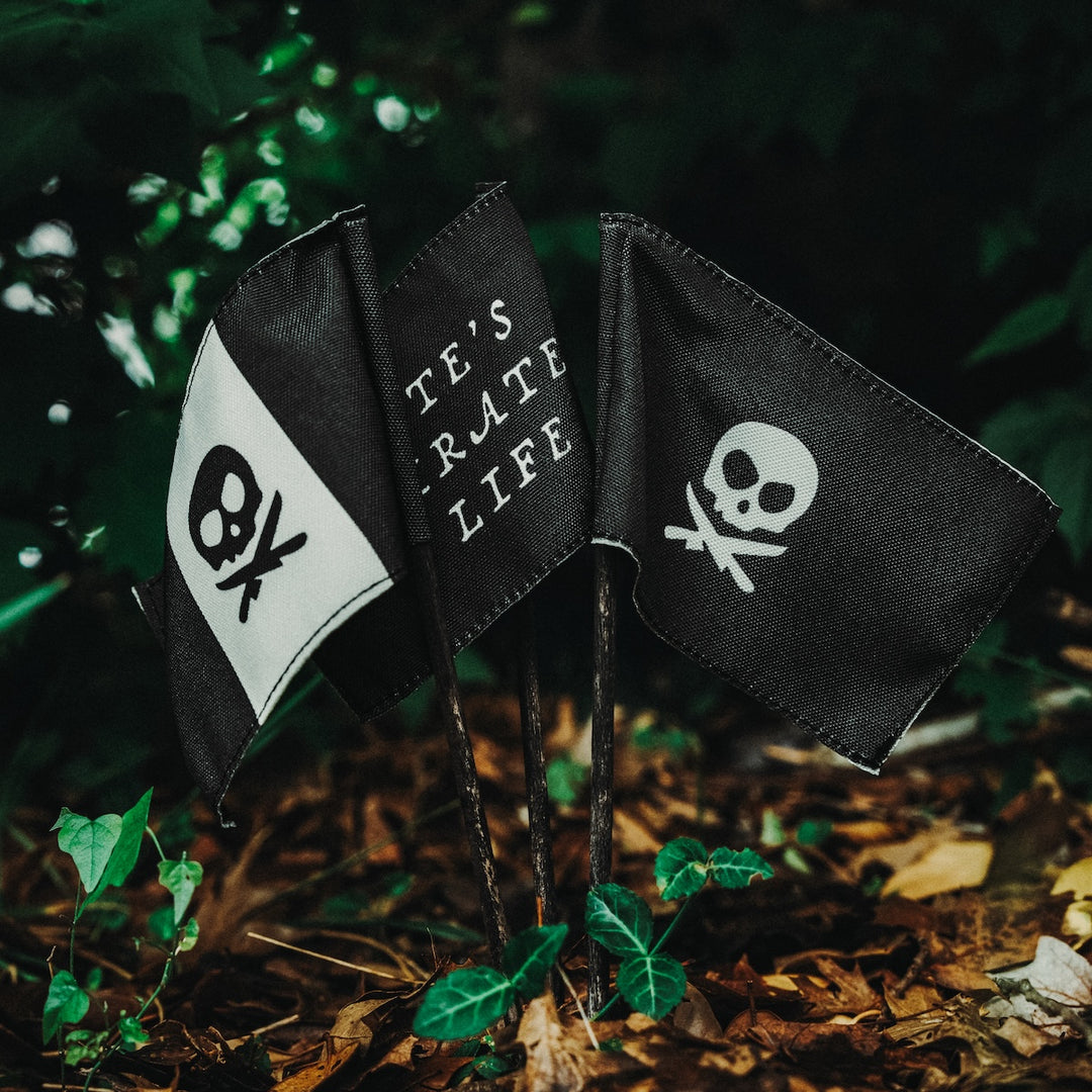 PPL Campaign Flag Set